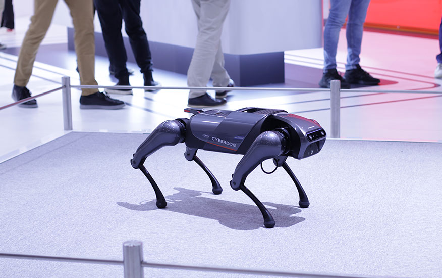 robótica 2022
